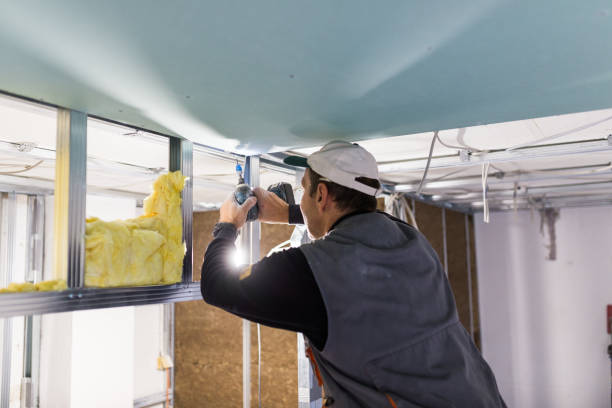 Best Insulation Maintenance and Repair in Lincoln, MT