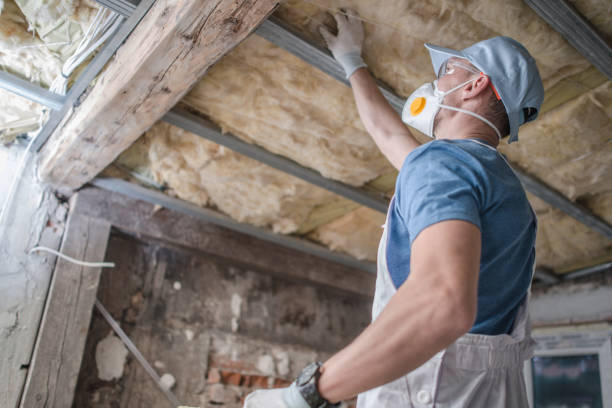 Best Geographic-Specific Insulation Services in Lincoln, MT
